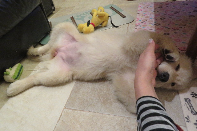 ファイル 7482-1.jpg