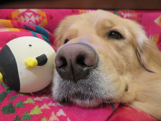 ファイル 7482-4.jpg