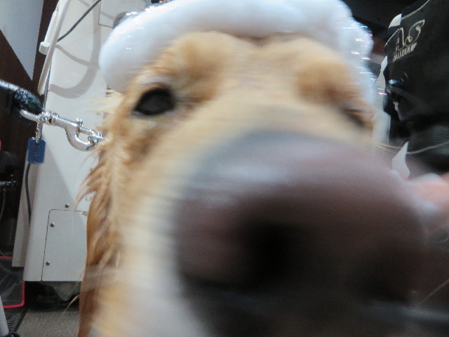 ファイル 7485-2.jpg