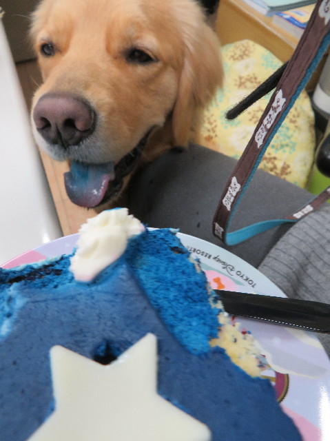 ファイル 7485-5.jpg