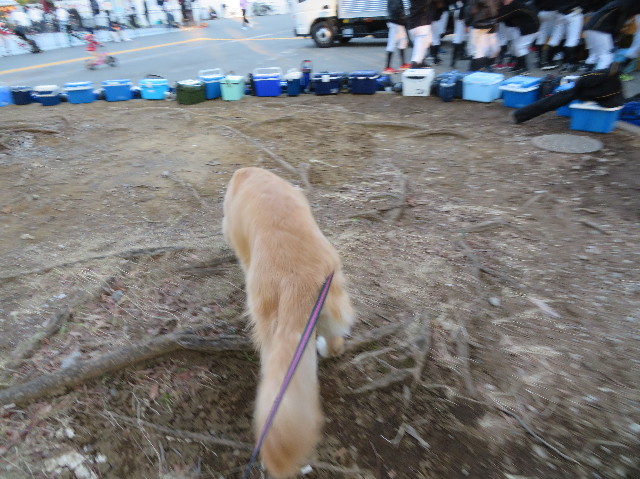 ファイル 7486-3.jpg