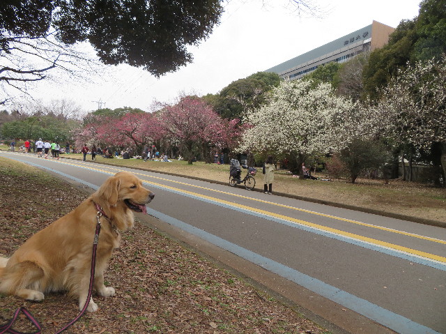 ファイル 7489-1.jpg