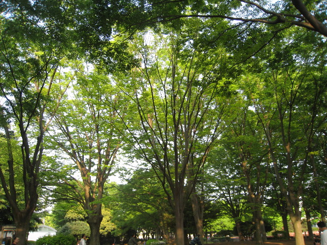 ファイル 749-4.jpg