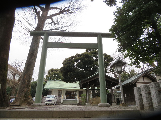 ファイル 7490-1.jpg