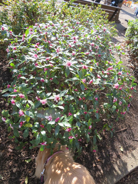 ファイル 7493-1.jpg