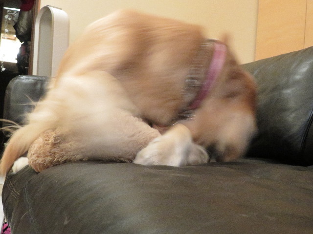 ファイル 7496-1.jpg