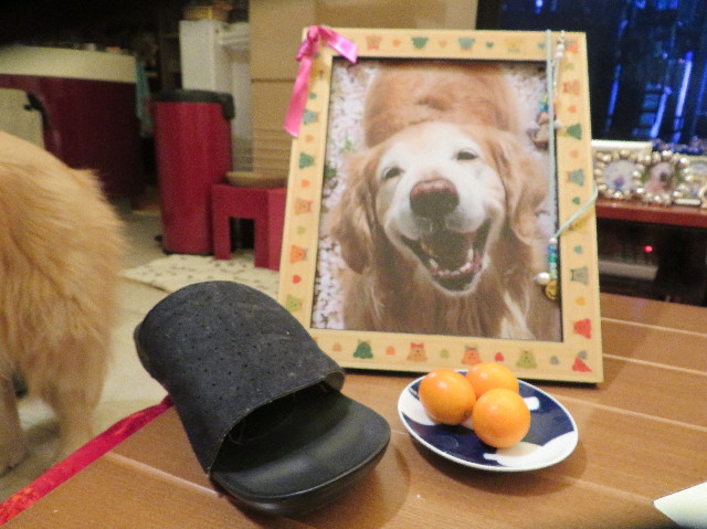 ファイル 7496-4.jpg