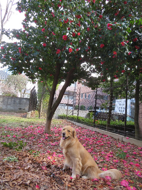 ファイル 7498-3.jpg