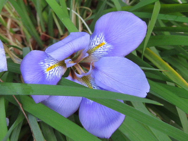 ファイル 7498-4.jpg