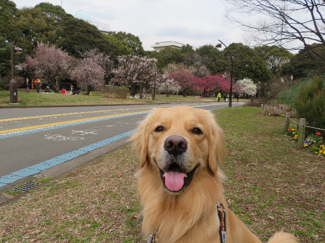 ファイル 7498-5.jpg