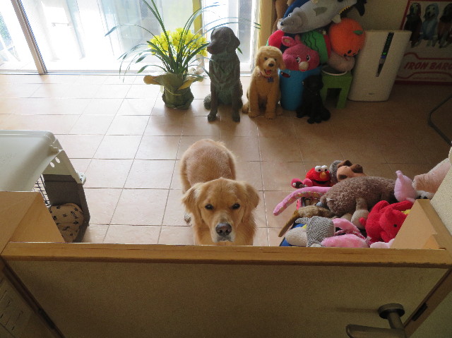 ファイル 7499-5.jpg