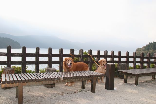 ファイル 75-3.jpg