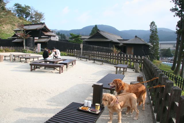 ファイル 75-4.jpg