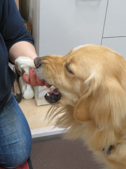 ファイル 7500-4.jpg