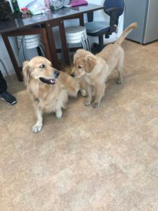 ファイル 7501-5.jpg