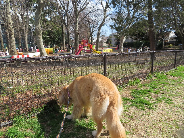 ファイル 7502-3.jpg