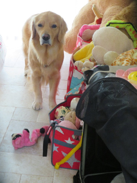 ファイル 7504-2.jpg