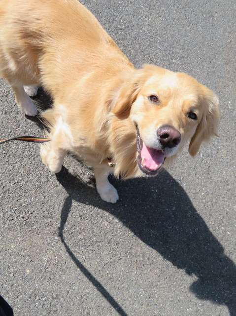 ファイル 7504-3.jpg