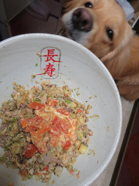 ファイル 7505-3.jpg