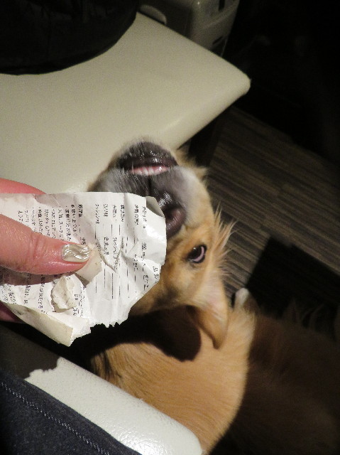 ファイル 7505-5.jpg