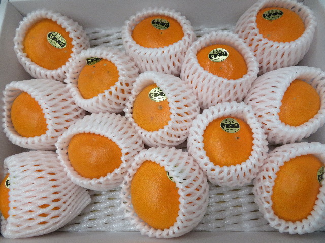 ファイル 7506-1.jpg