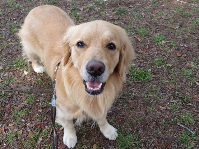 ファイル 7508-2.jpg