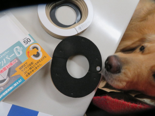 ファイル 7508-5.jpg