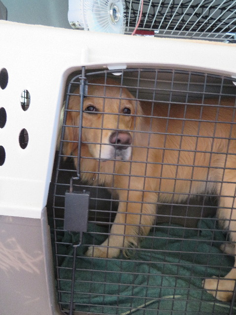 ファイル 7509-2.jpg