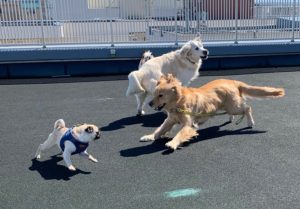 ファイル 7509-3.jpeg