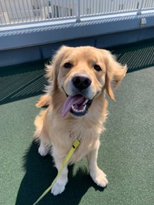 ファイル 7509-4.jpeg