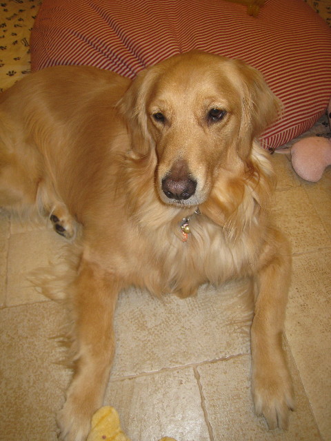 ファイル 751-3.jpg