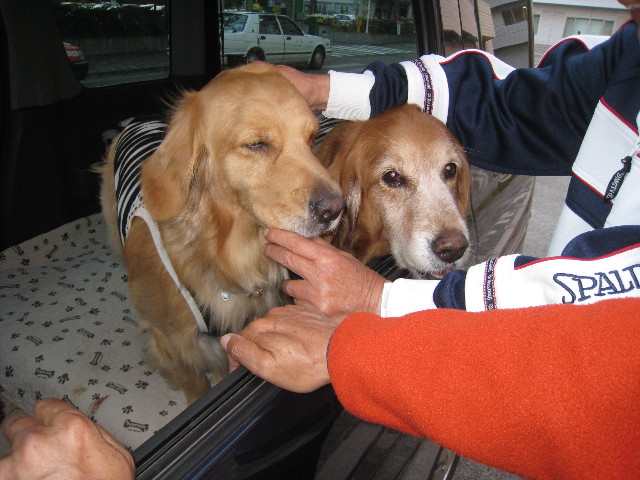 ファイル 751-5.jpg