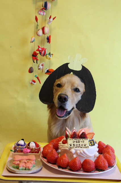 ファイル 7511-2.jpg