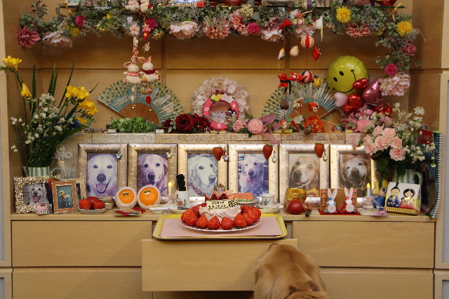 ファイル 7511-5.jpg