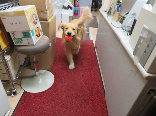 ファイル 7512-1.jpg