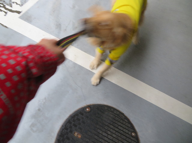 ファイル 7512-2.jpg