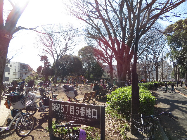 ファイル 7513-2.jpg