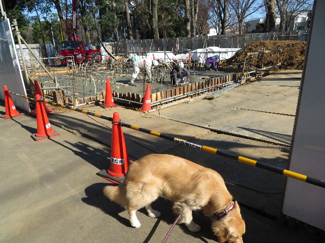 ファイル 7513-4.jpg