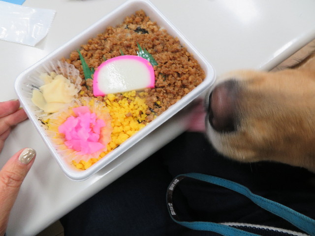 ファイル 7514-2.jpg