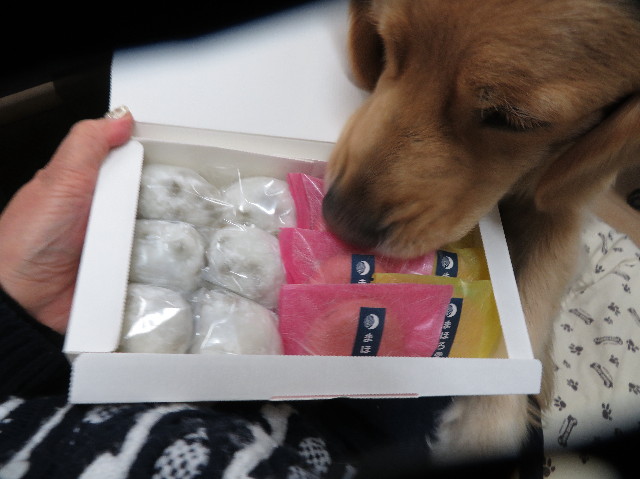 ファイル 7514-3.jpg