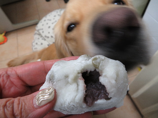 ファイル 7514-4.jpg