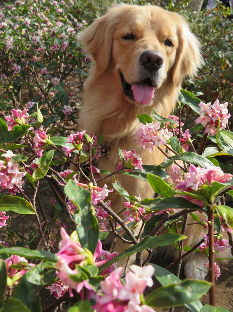 ファイル 7514-5.jpg