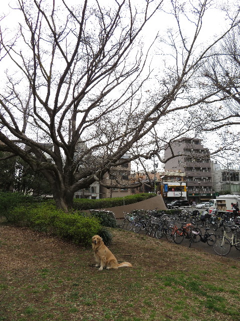 ファイル 7517-2.jpg