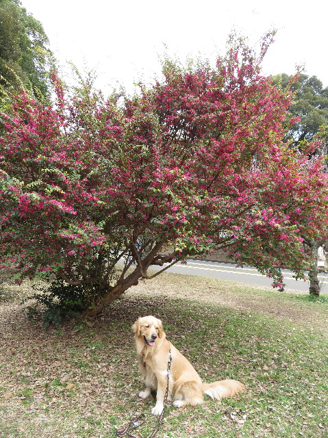 ファイル 7517-5.jpg