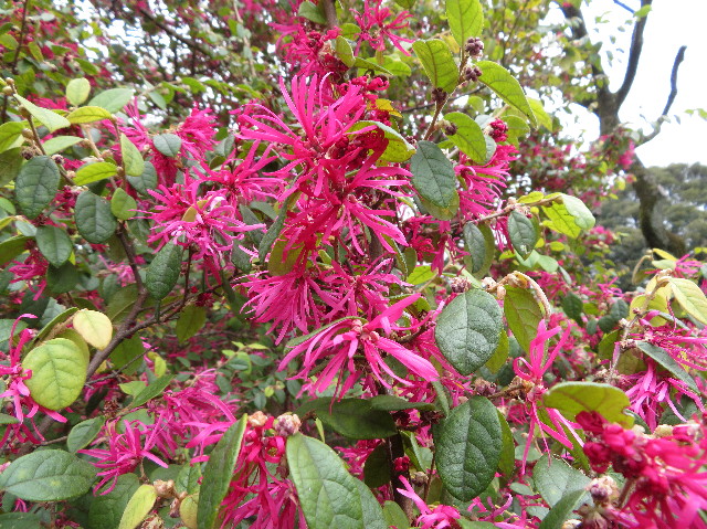 ファイル 7518-1.jpg