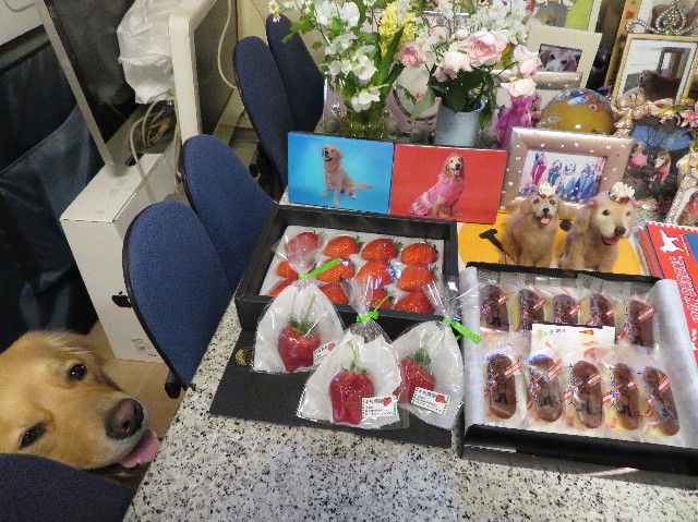 ファイル 7518-3.jpg