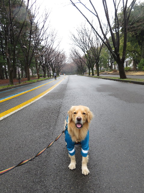 ファイル 7519-3.jpg