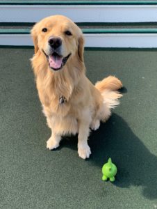 ファイル 7520-1.jpeg