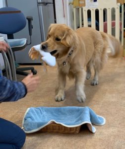 ファイル 7520-5.jpeg