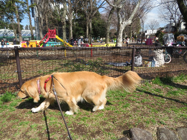 ファイル 7522-1.jpg